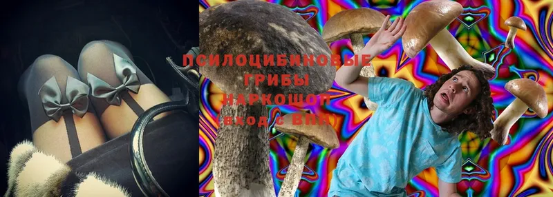 Галлюциногенные грибы Magic Shrooms  Георгиевск 